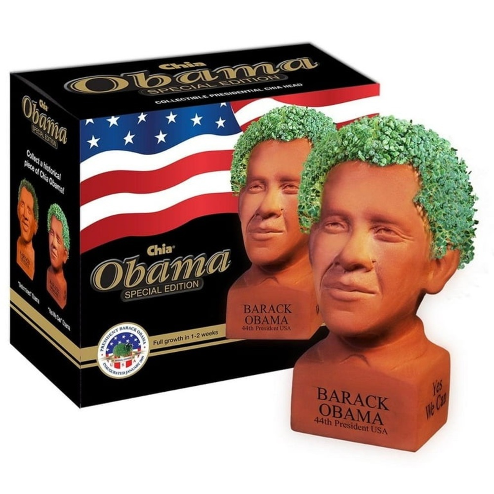 Chia Pet Obama Determined Special Edition Decorative Pottery Planter